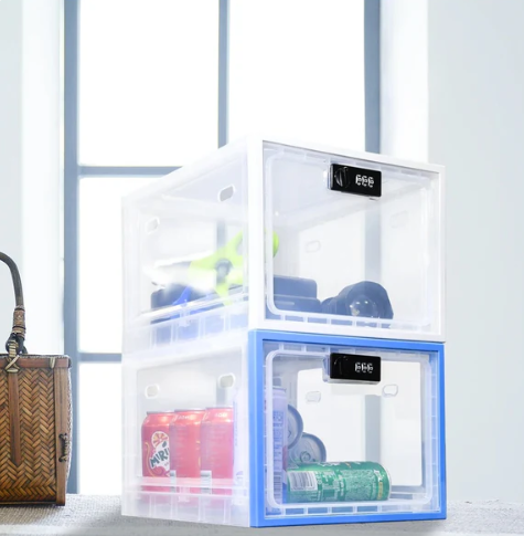 LockBox Mini